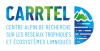 logo carrtel